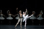 Photo 2 pour LA BAYADERE (COTE DIFFUSION)